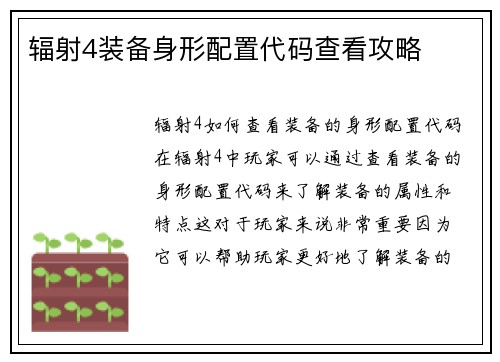 辐射4装备身形配置代码查看攻略